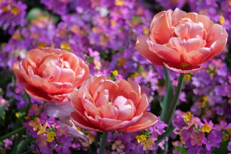 11 Beautiful Spring Gardens in England You Must Visit