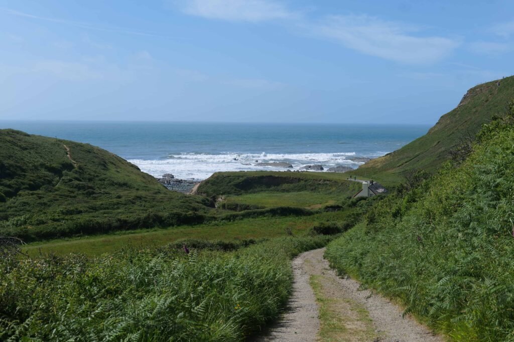 The spectacular coastal path walk from Hartland Abbey!