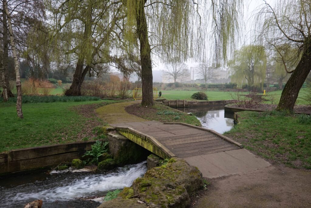 Leeds Castle looming over the Wood Garden