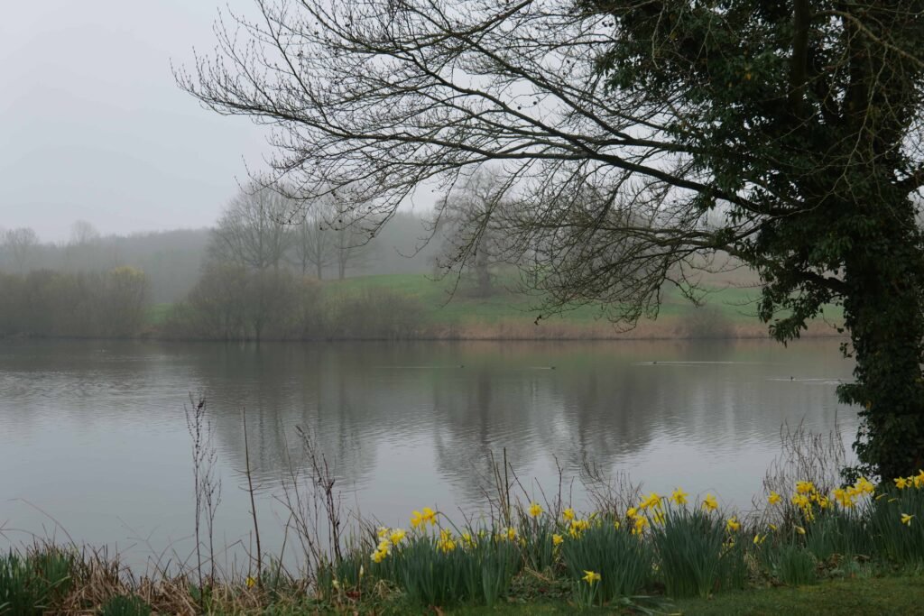 There are plenty of places to sit and enjoy lunch with a view!