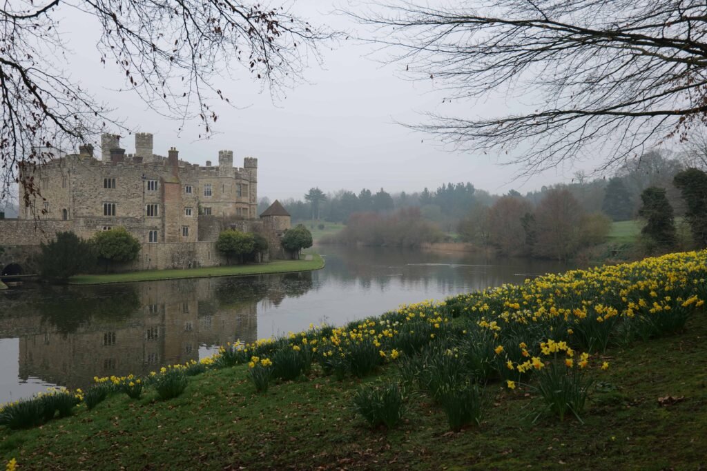 Daffodils line the banks of the moat in spring