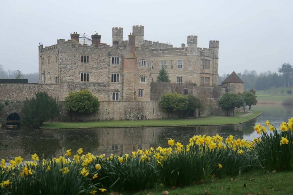 Leeds Castle surrounded by daffodils in March