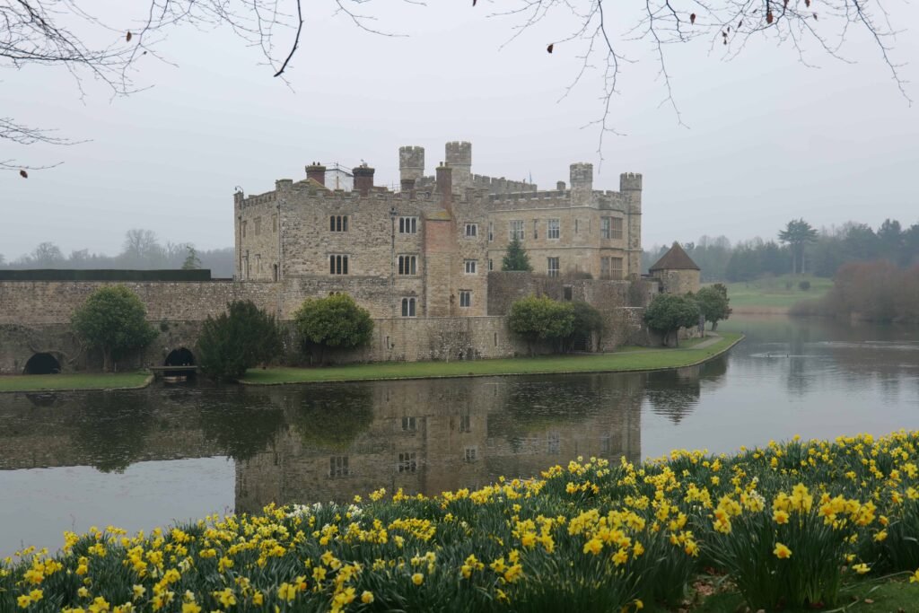Leeds Castle may be shrouded in fog, but the daffodils add a lovely pop of yellow!