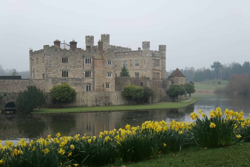 The prettiest spot to see daffodils at Leeds Castle!