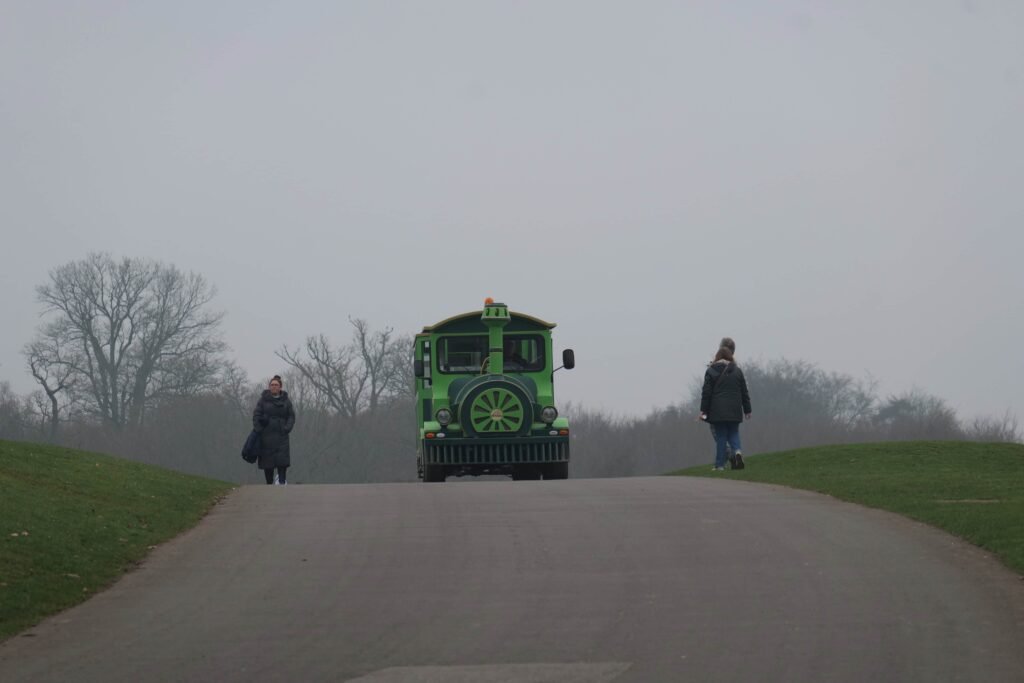 Elsie the Castle Train driving through the fog