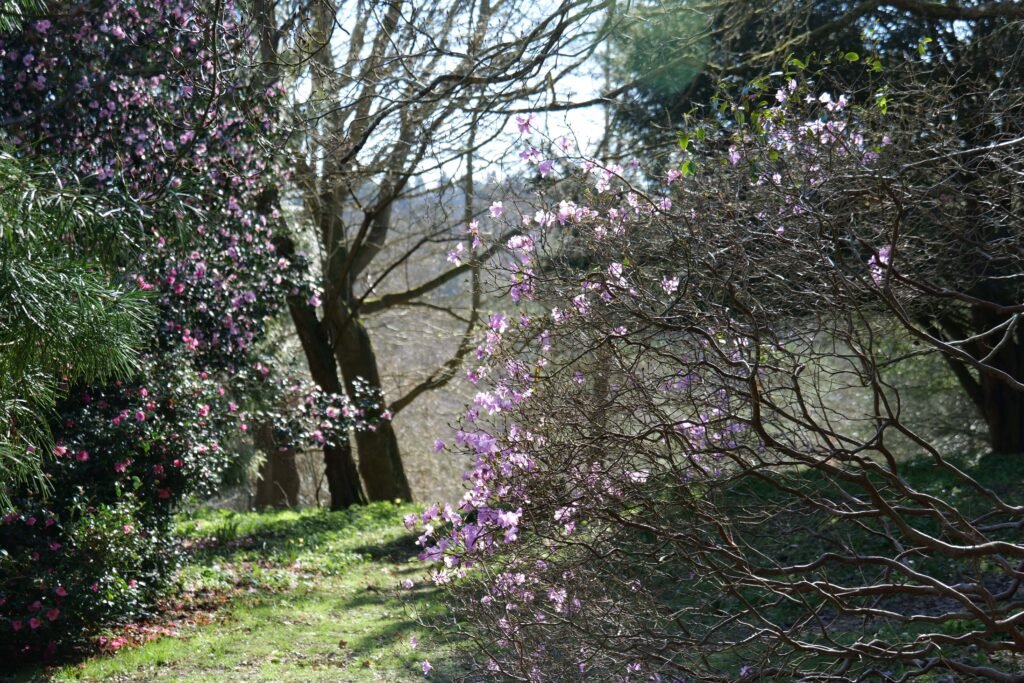 Finding a quiet corner to sit in spring!