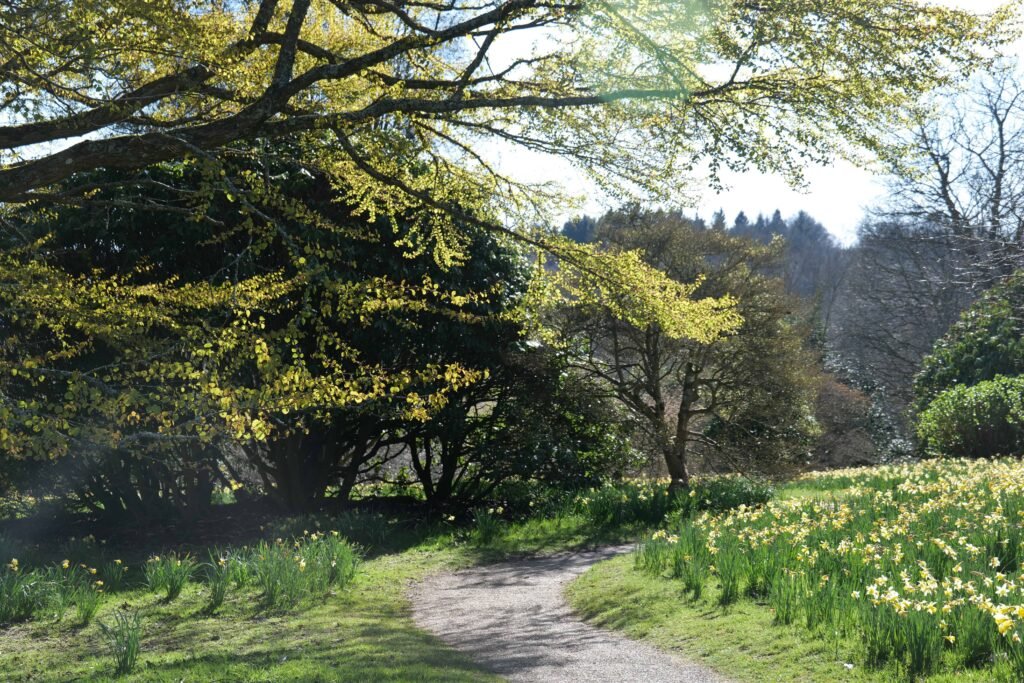 Walking the peaceful paths at Emmetts Garden