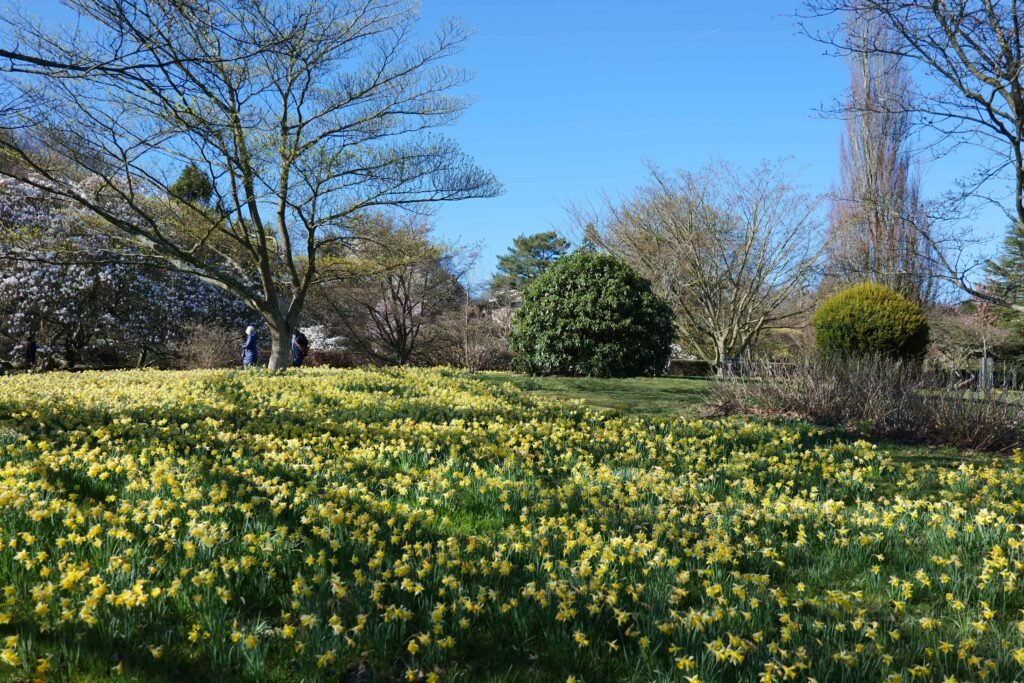 Emmetts Garden is at its most beautiful in spring!