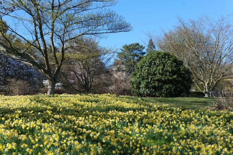 Emmetts Garden in Spring: A Photo Diary & Travel Guide