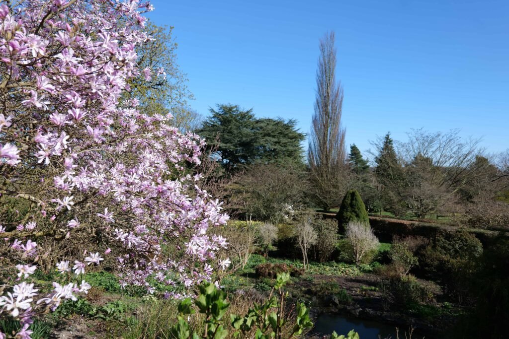 Looking out over Emmetts from the North Garden viewpoint