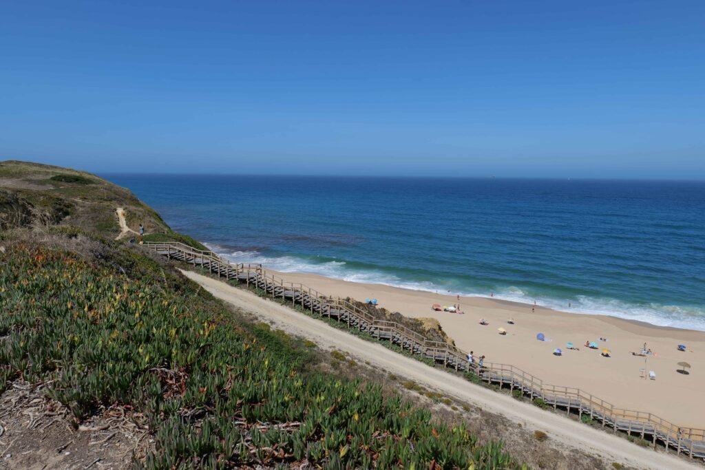 Looking out over Meco Beach at one of our viewpoint stops!