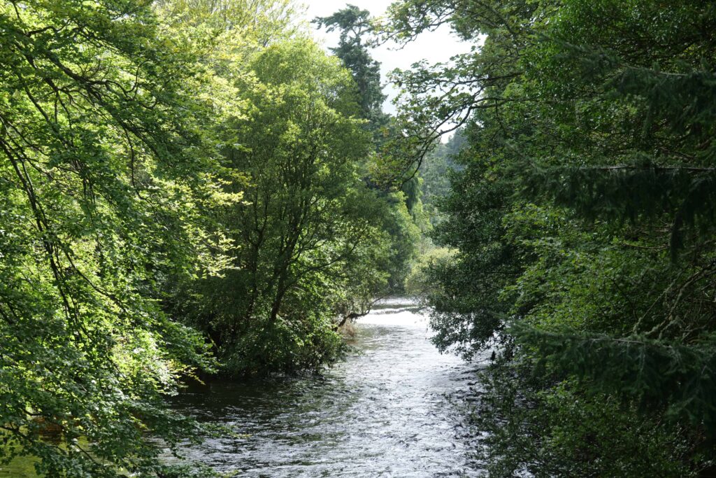 Walking between the Ness Islands, connected by footbridges!