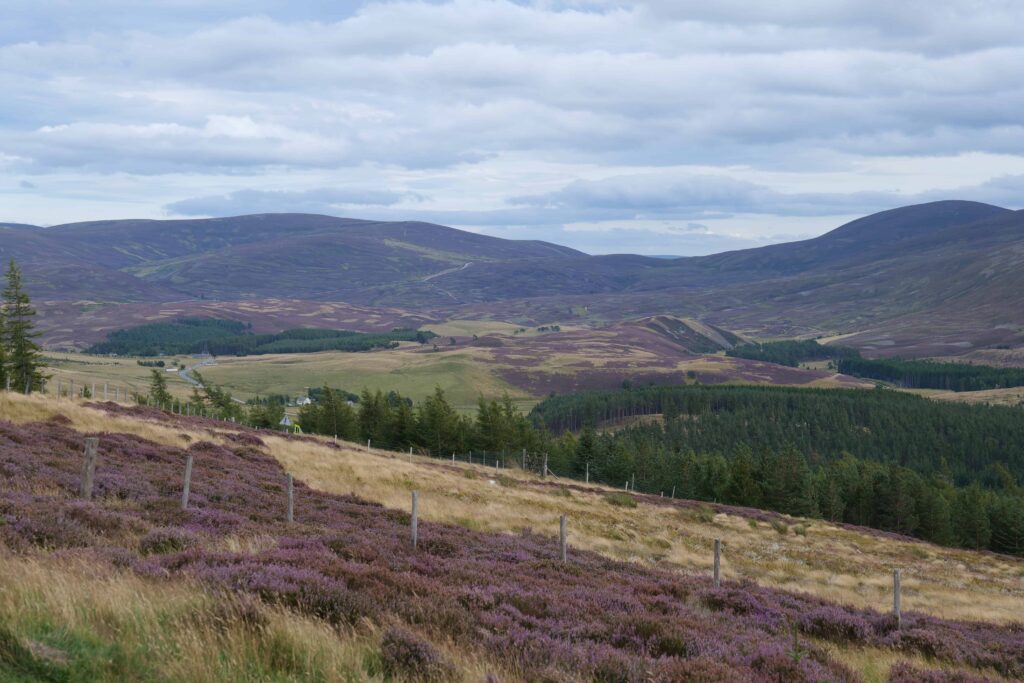The Cairngorms is one of the most underrated drives in Scotland!