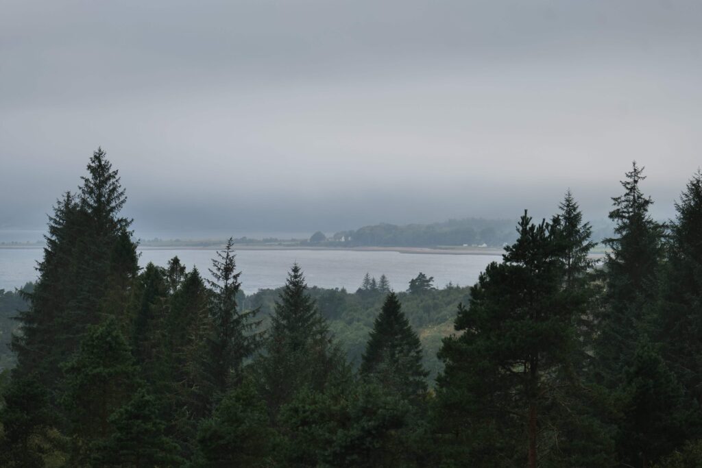 The incredible view of Loch Linnhe from Inchree Forest!